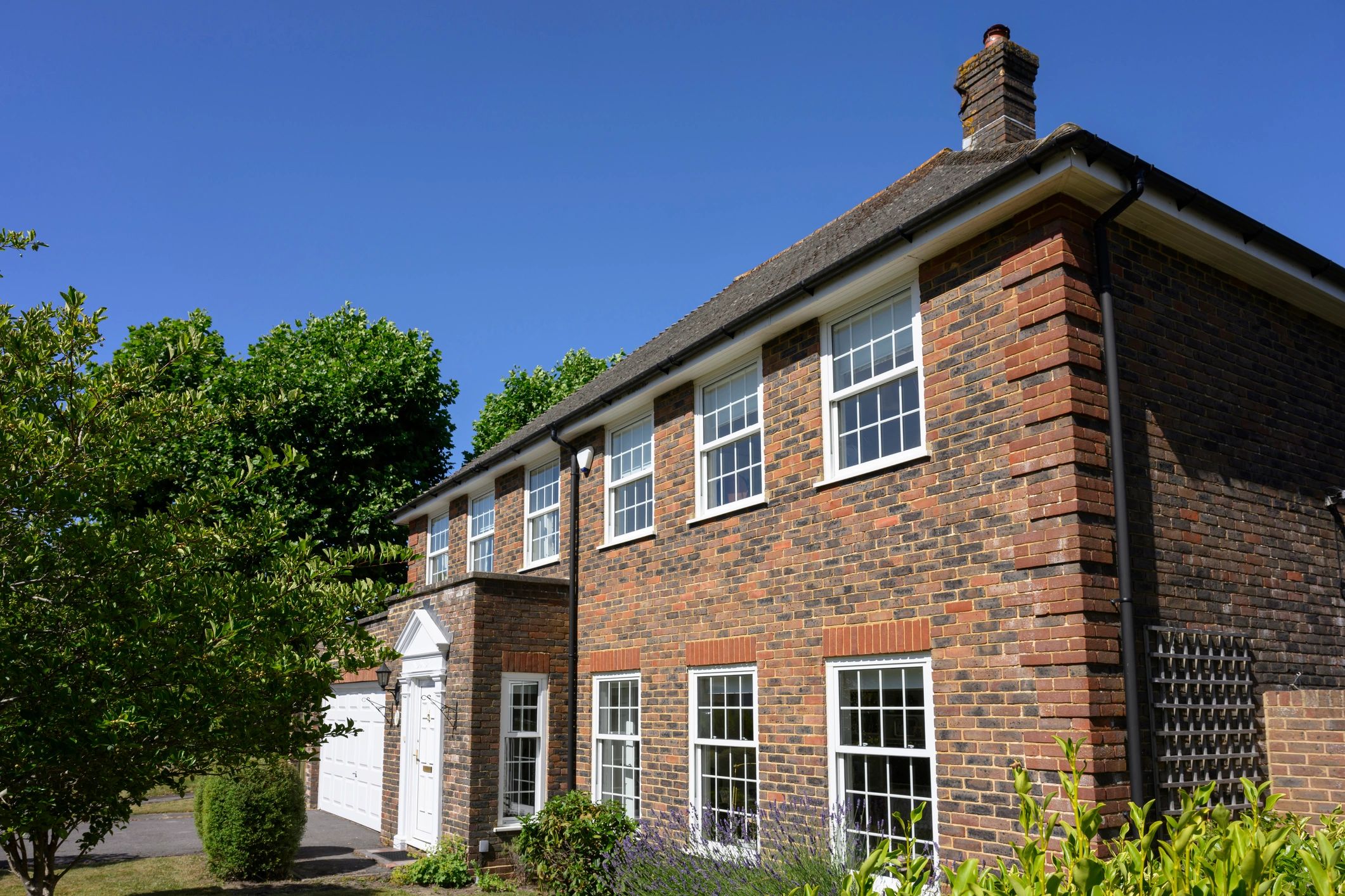 Residential home framed by mature green trees