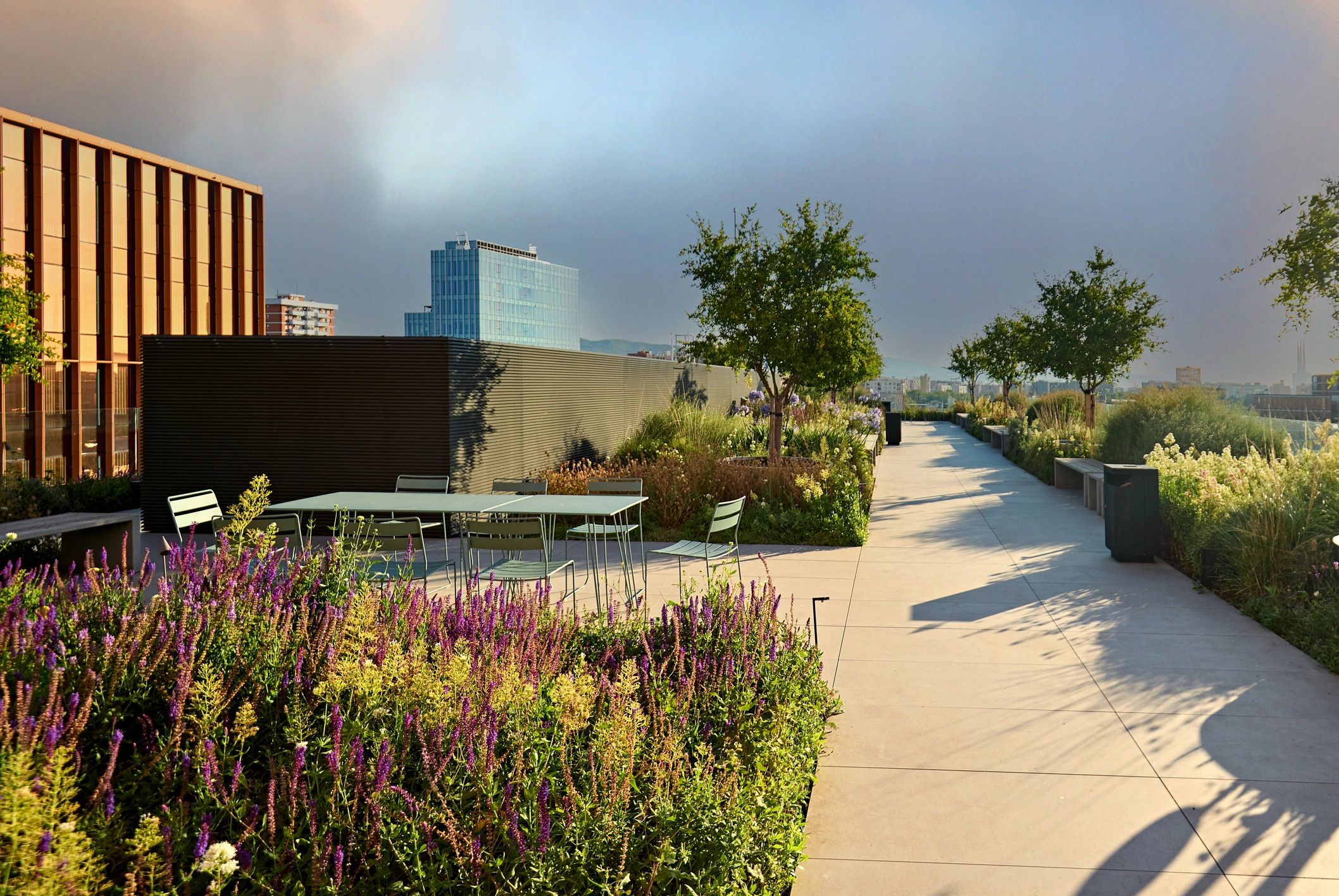 Landscaped rooftop garden and outdoor seating
